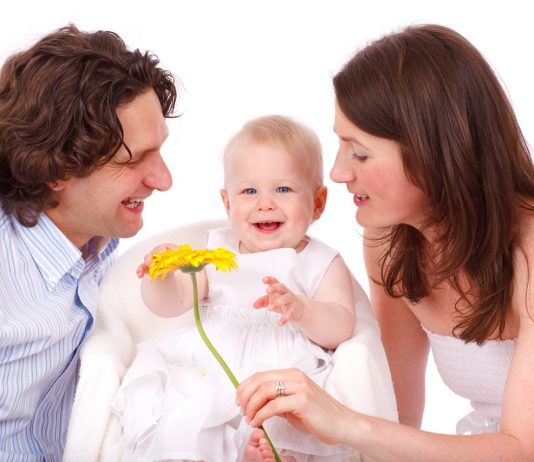 עורך דין לדיני משפחה עורך דין לדיני משפחה