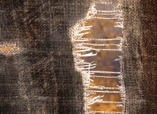 עורך דין לענייני גירושים